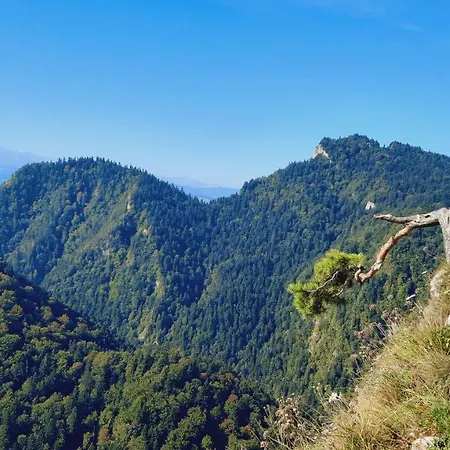 Pod Kolejka Aparthotel