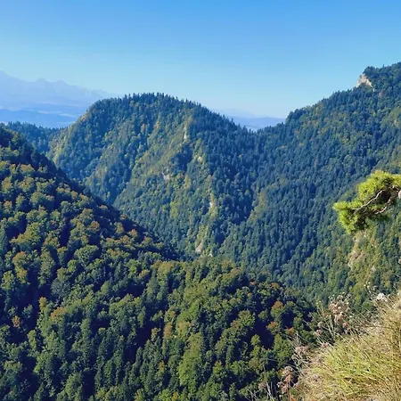 Pod Kolejka 3* 슈차브니차