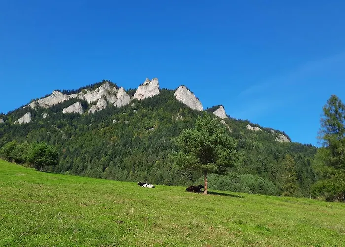 Pod Kolejka Aparthotel 3*