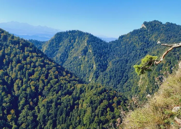 Pod Kolejka 3* Szczawnica